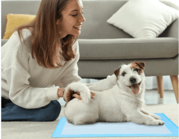 GoofyPet Premium Disposable Training Pads