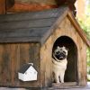 Ultrasonic Anti-barking Device 50Feet Sensing Sonic Dog Bark Deterrent Dog Bark Control with 3 Sensitivity Levels 3 Sensing Distances Indoor Outdoor