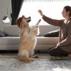 Ultrasonic Anti-barking Device 50Feet Sensing Sonic Dog Bark Deterrent Dog Bark Control with 3 Sensitivity Levels 3 Sensing Distances Indoor Outdoor