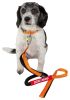 Dog Helios Neo-Indestructible Easy-Tension Sporty Embroidered Thick Durable Pet Dog Leash And Collar