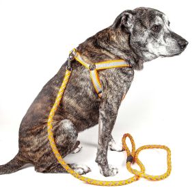 Reflective Stitched Easy Tension Adjustable 2-in-1 Dog Leash and Harness (Size: Large)