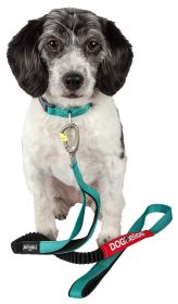 Dog Helios Neo-Indestructible Easy-Tension Sporty Embroidered Thick Durable Pet Dog Leash And Collar (Color: Aqua Blue, Size: Large)