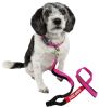 Dog Helios Neo-Indestructible Easy-Tension Sporty Embroidered Thick Durable Pet Dog Leash And Collar