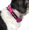 Dog Helios Neo-Indestructible Easy-Tension Sporty Embroidered Thick Durable Pet Dog Leash And Collar