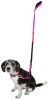 Dog Helios Neo-Indestructible Easy-Tension Sporty Embroidered Thick Durable Pet Dog Leash And Collar